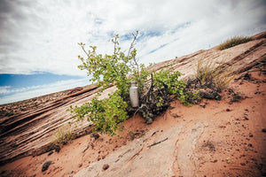 Titanium Water Thermos